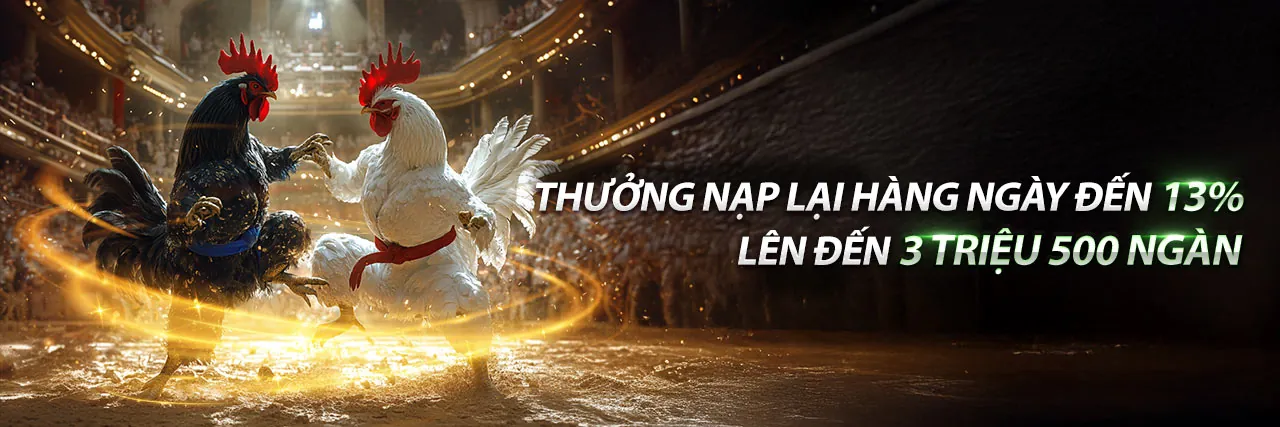 Chính sách quyền riêng tư VN588, bảo vệ dữ liệu cá nhân và khuyến mãi